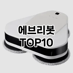 에브리봇 추천 TOP10