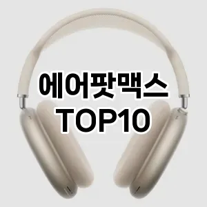 에어팟맥스 추천 TOP10