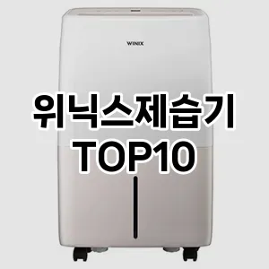 위닉스제습기 추천 TOP10