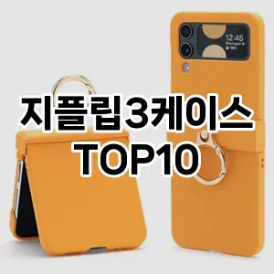 지플립3케이스 추천 TOP10