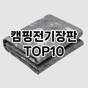 캠핑전기장판 추천 TOP10